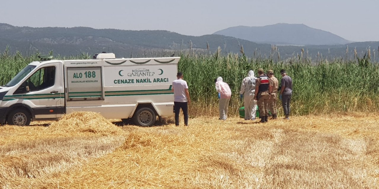 Gaziantep'te Sazlık Alanda Erkek Cesedi Bulundu