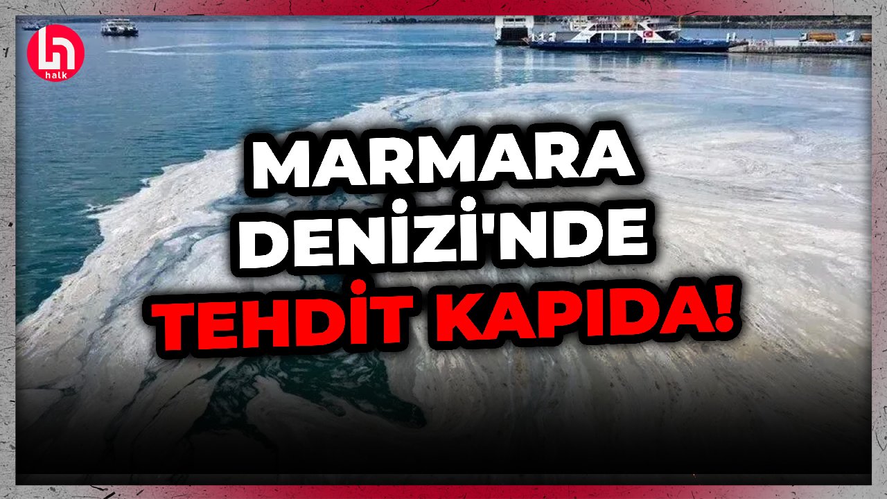 Marmara'da korkutan manzara! Uzman isimlerden dikkat çeken uyarı!