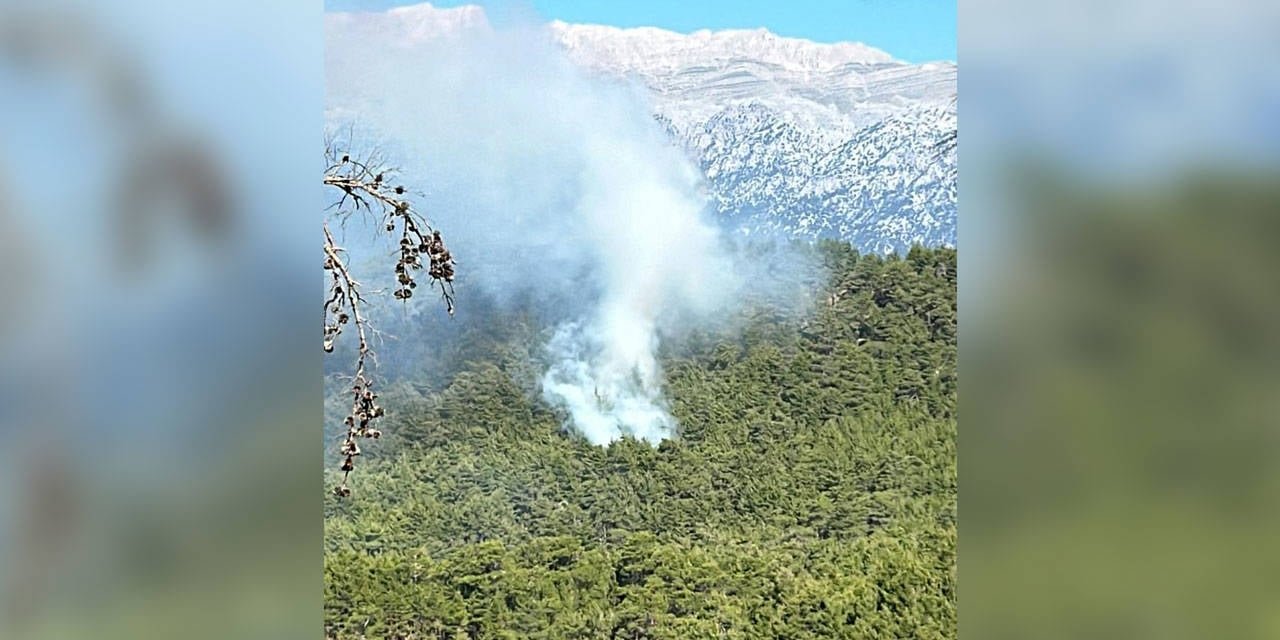 Antalya'da Orman Yangını! Müdahale Sürüyor!