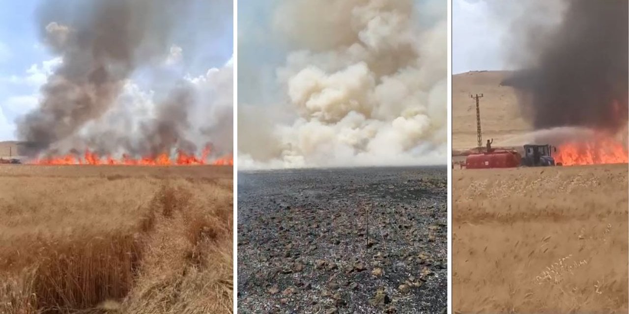 Mardin'de Tarla Yangınlarında 4 Bin 885 Dönüm Kül oldu