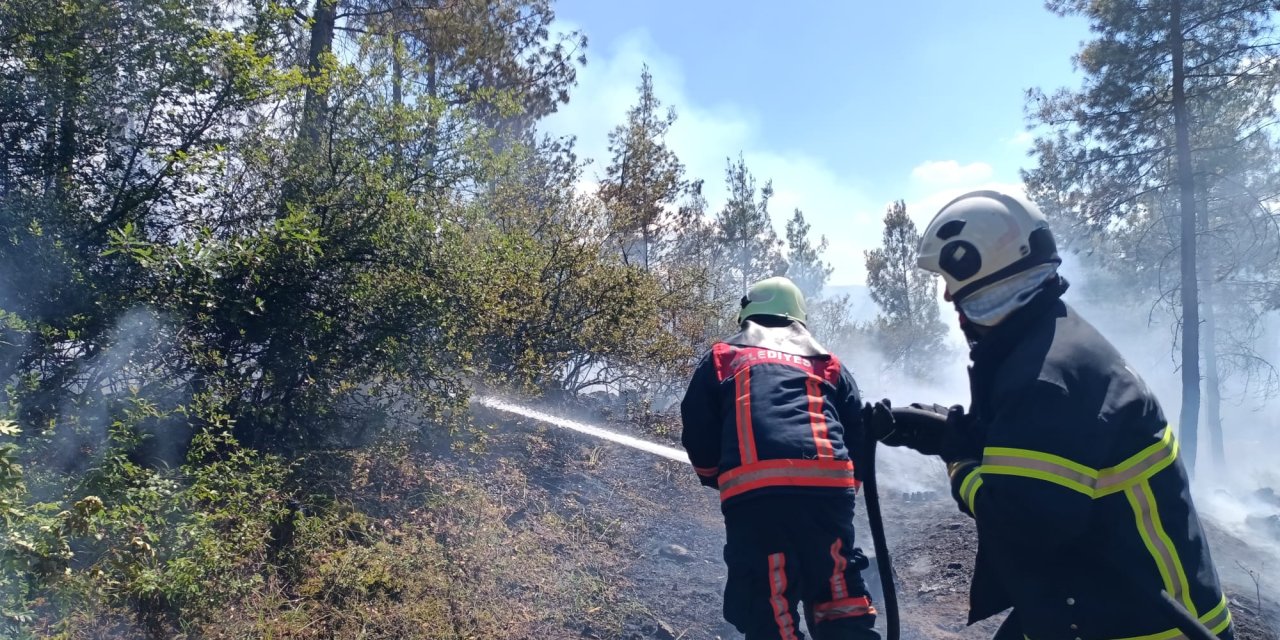 Kilis OSB’de Otluk Alanda Yangın Çıktı