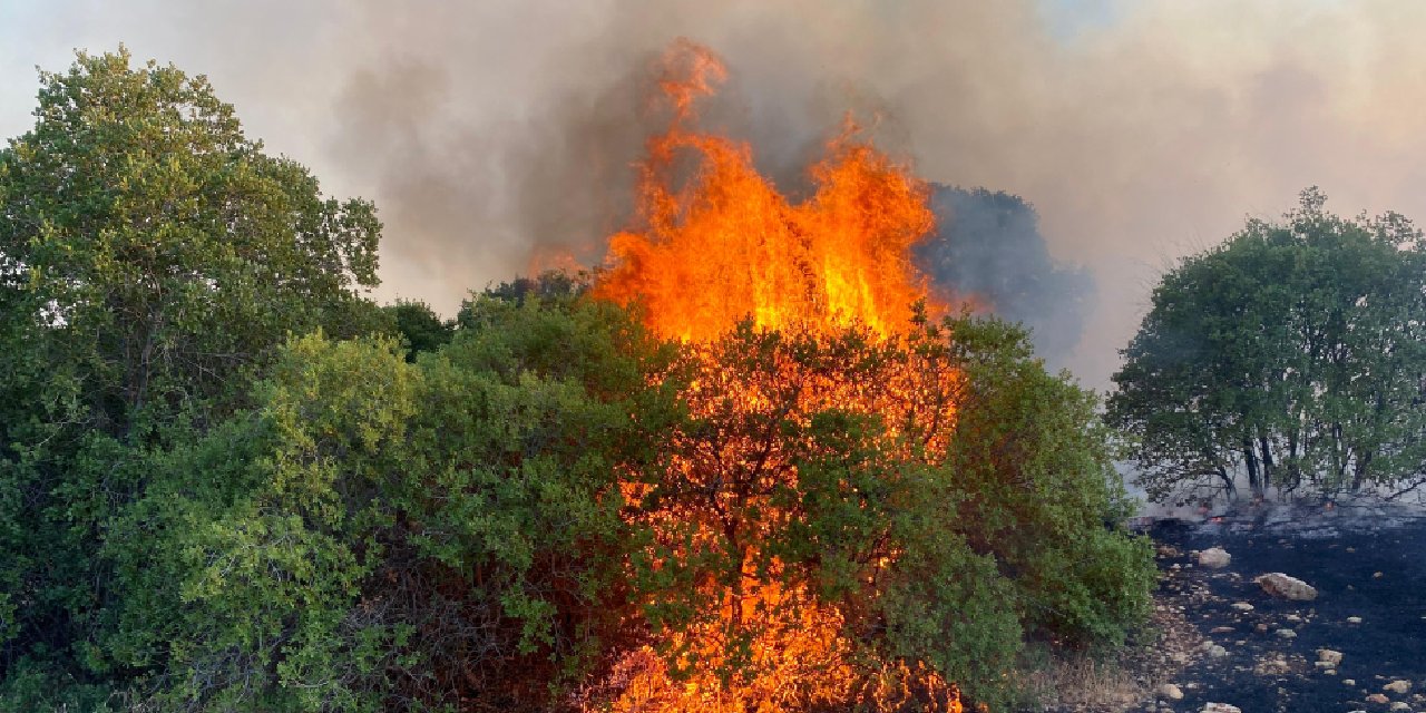Gaziantep'te Fıstık ve Zeytin Bahçelerinde Yangın, 200 Dönüm Arazi Zarar Gördü