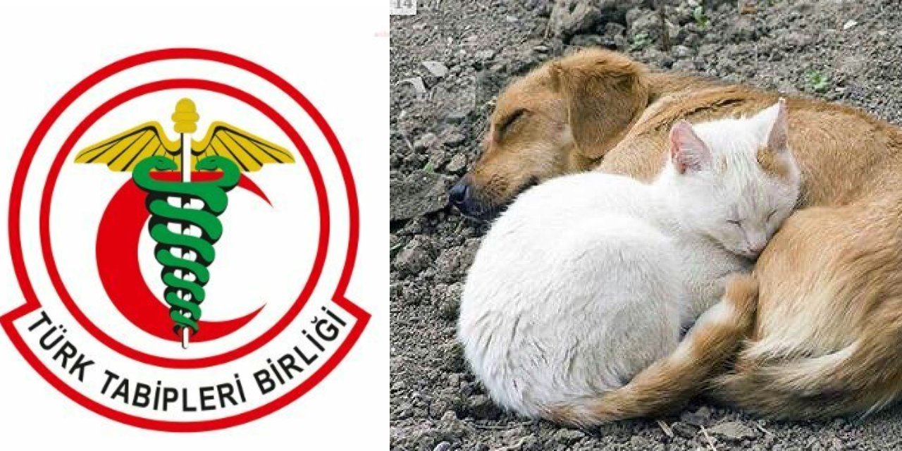 Türk Tabipleri Birliği 'Ülkemizde toplu hayvan itlafı tartışmalarını kaygıyla izliyoruz'
