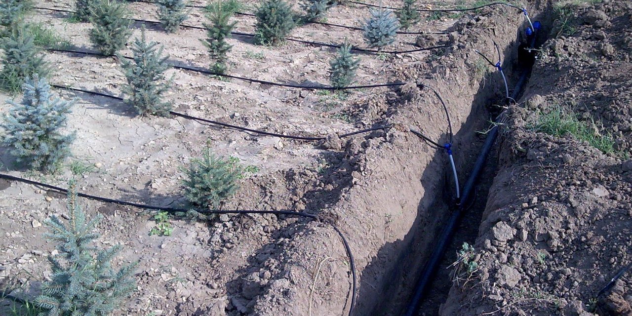 Tarla Sularken Elektrik Akımına Kapılıp Öldü