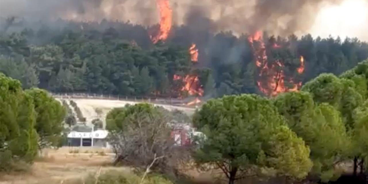 İzmir'de Orman Yangını Çıktı: 1 Kişi Gözaltında!