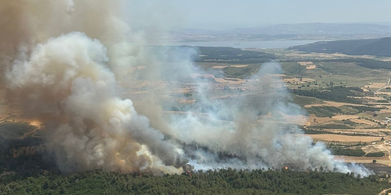 Çanakkale'de de Orman Yangını Çıktı! Dumanlar Göğü Sardı
