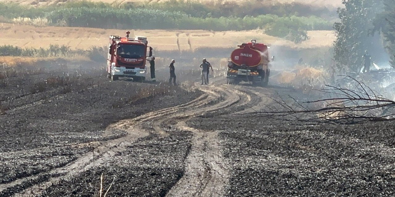 Tekirdağ'da Buğday Tarlası Yangında Zarar Gördü