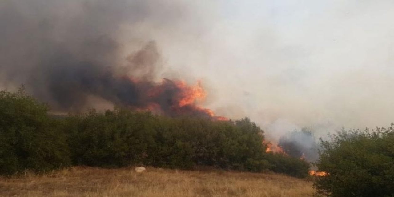 Manisa'da Korkutan Orman Yangını!