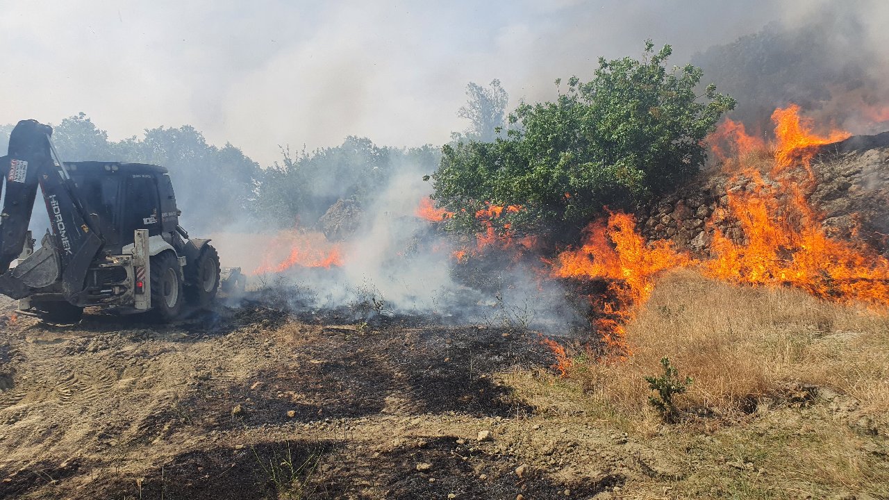 Manisa'daki Yangın Ormana Sıçradı