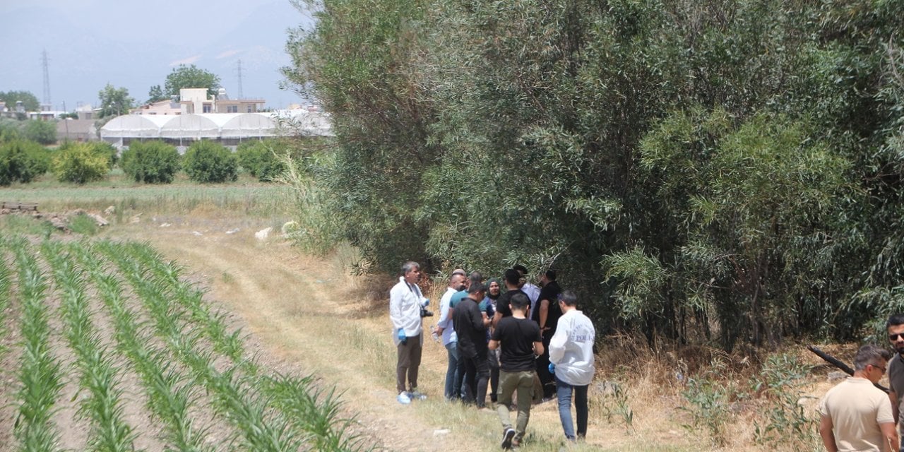 Yol Kenarında İnsan Kemikleri Bulundu!