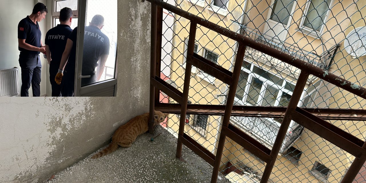 Yangın Merdiveninde Mahsur Kalan Kedi Kurtarıldı