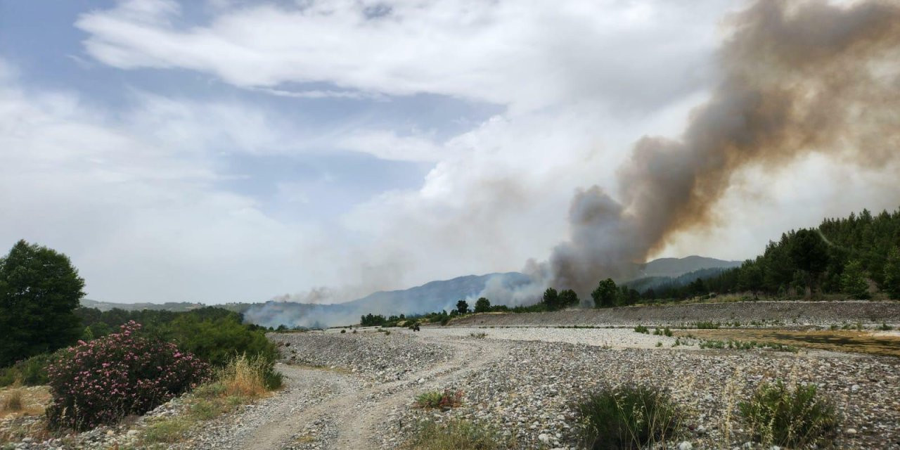 Muğla'da Orman Yangını!