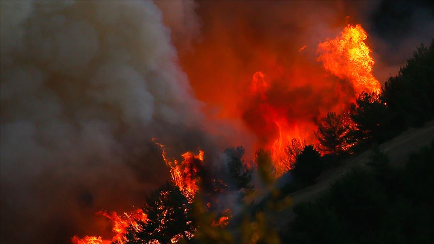 "Dün 28 Orman Yangınıyla Mücadele Ettik"