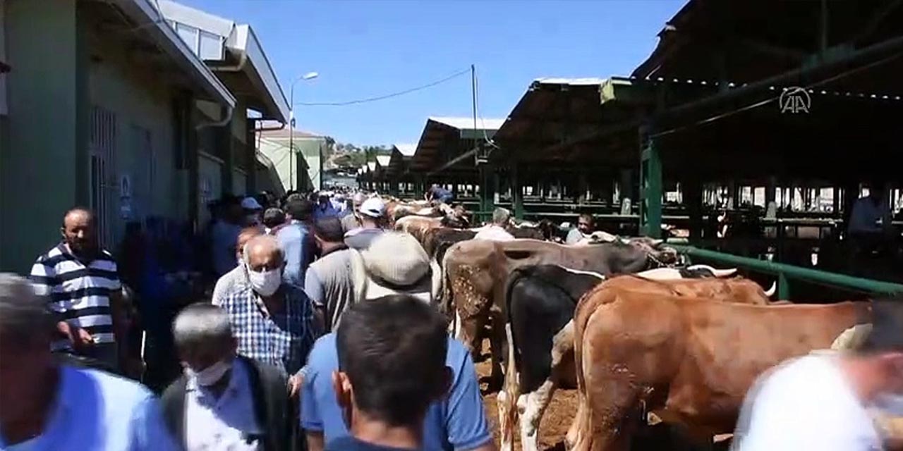 Malatya'da Kurban Pazarında Yoğunluk