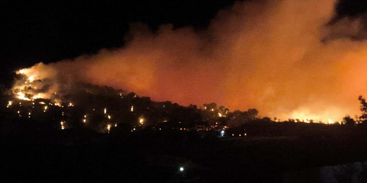 İzmir'de orman yangını bölgesinden acı haber