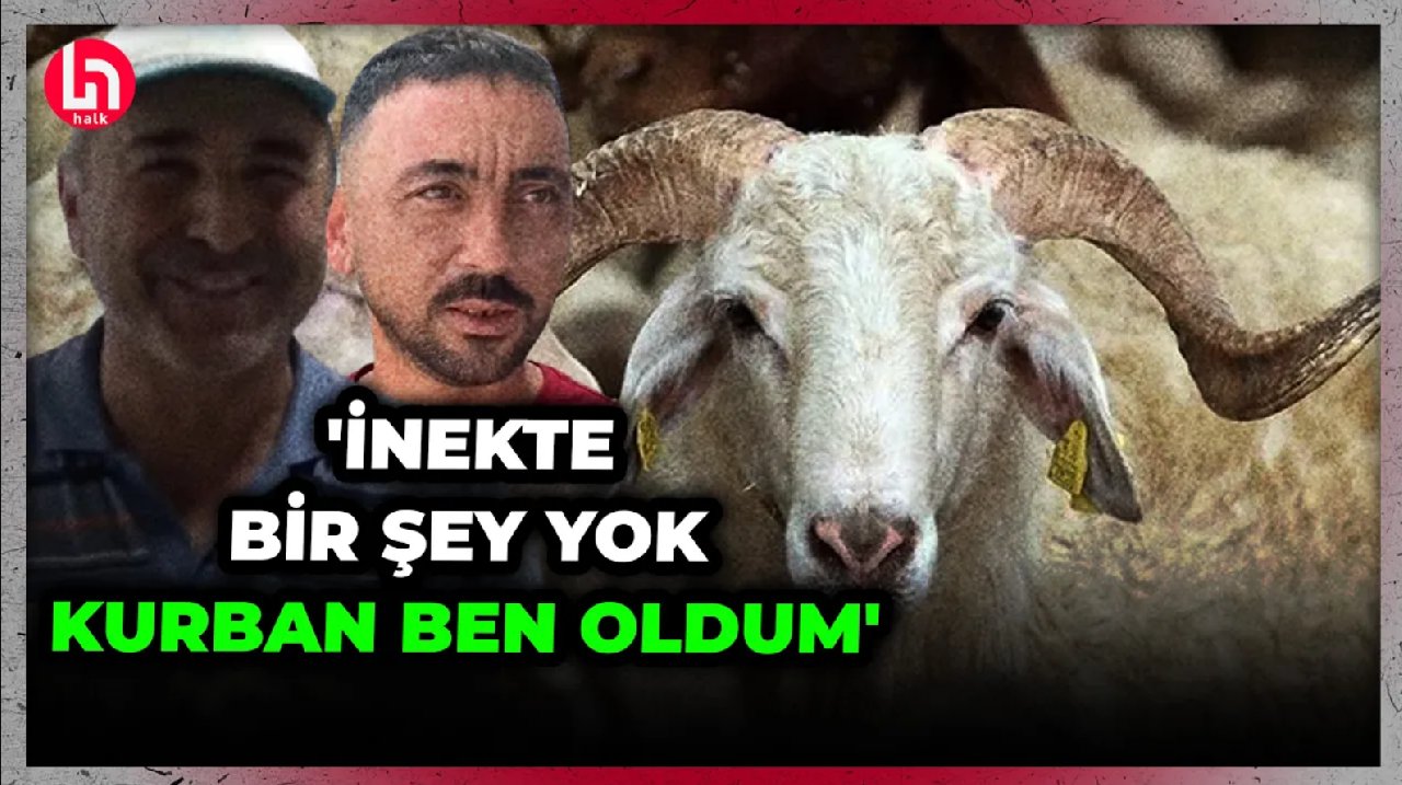 Acemi kasaplar iş başında; Bu bayram da geleneği bozmadılar kendilerini kestiler!