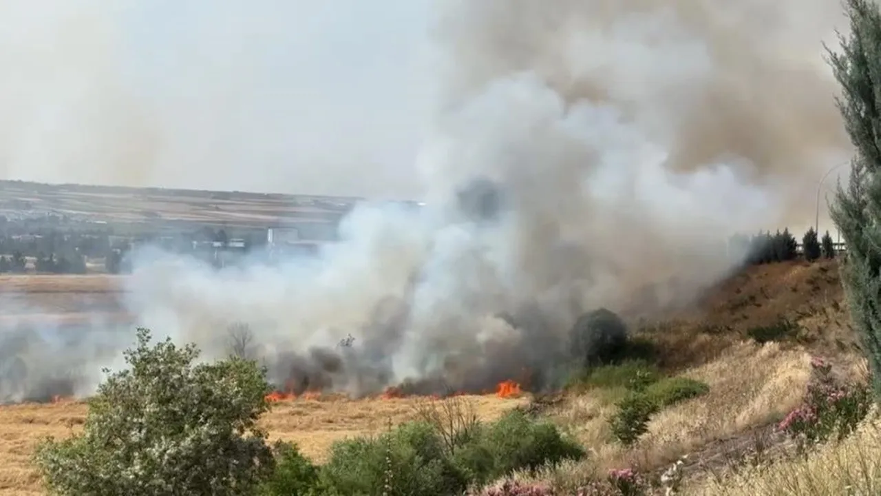 Diyarbakır’da 300 dönüm ekili buğday arazisi küle döndü
