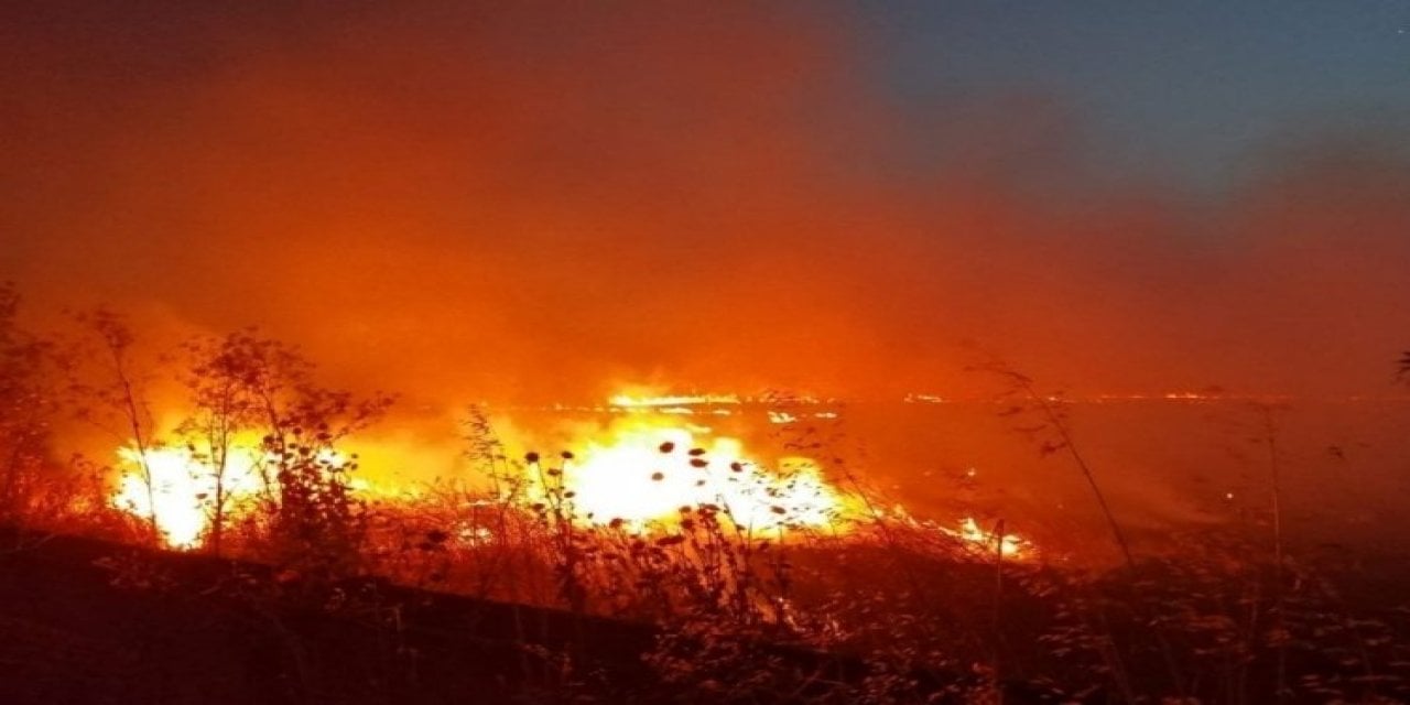 Balıkesir'de Anız Yangını Kontrolden Çıktı!