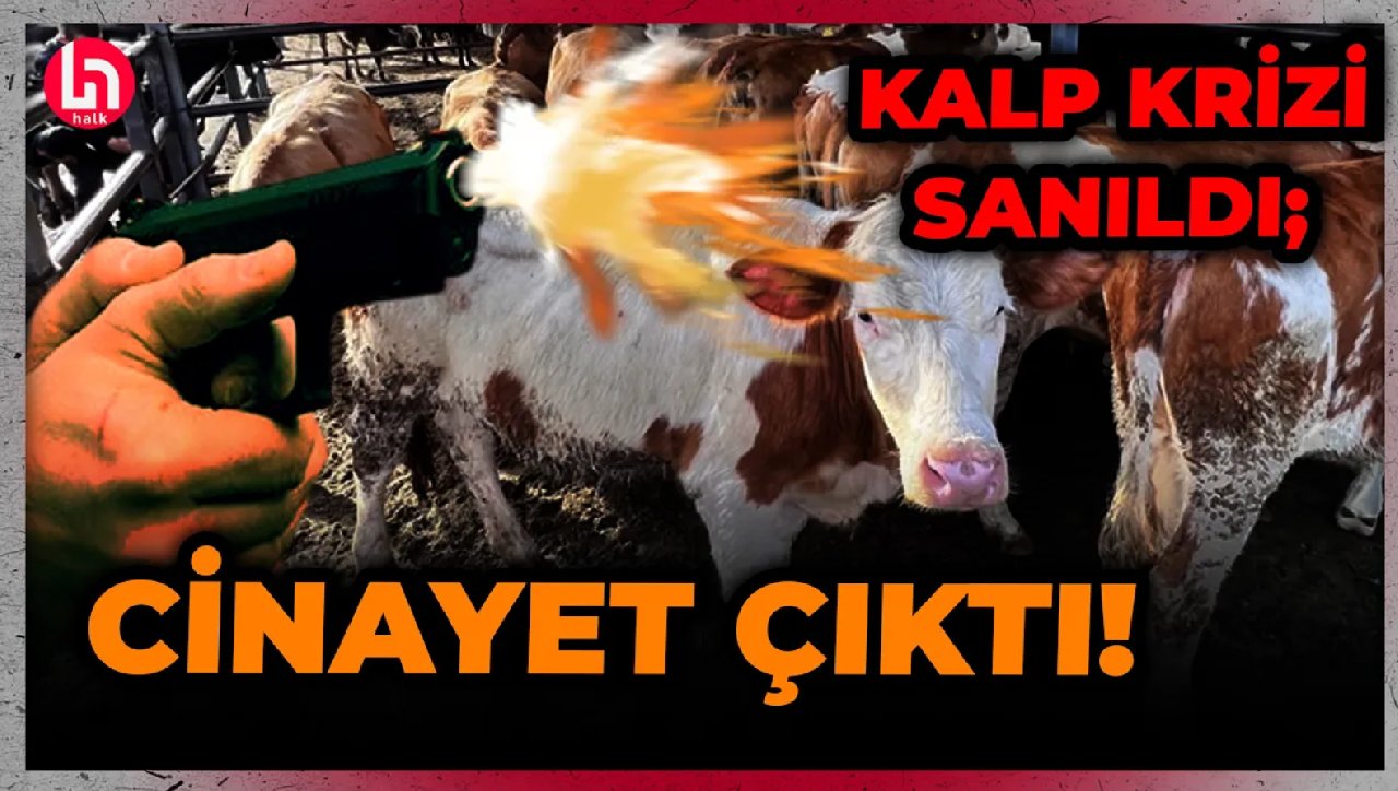 "Kurban keserken kalp krizi geçirdiği" söylendi ama gerçek otopside ortaya çıktı!