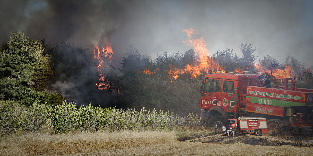 Son Dakika: Çanakkale ve Uşak'ta orman yangını kontrol altına alındı