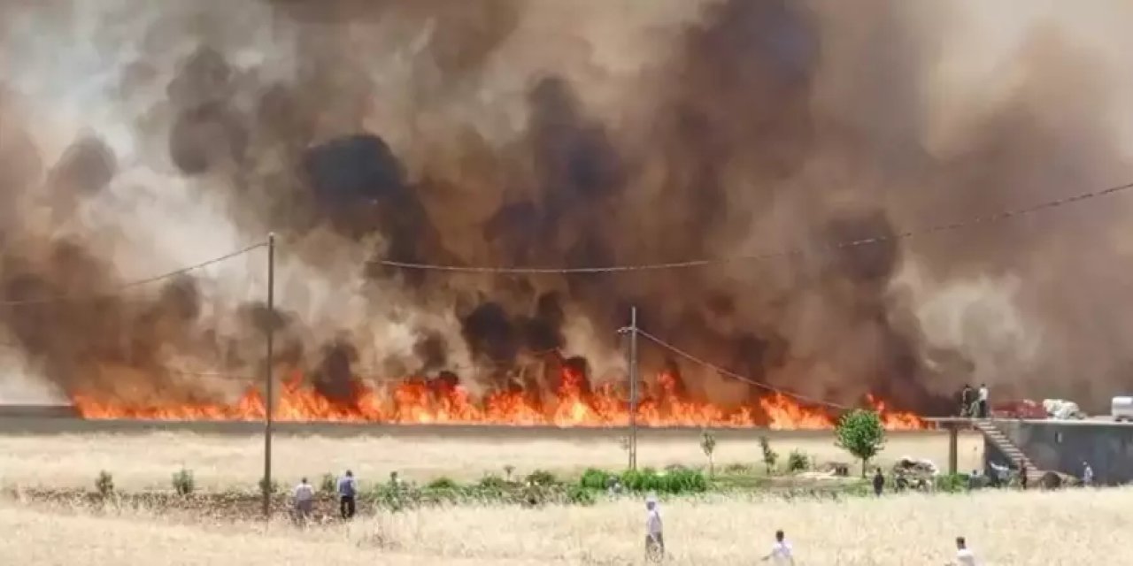 Diyarbakır'da 3 Ayrı Kırsalda Yangın! 420 Dönüm Tarla Yandı