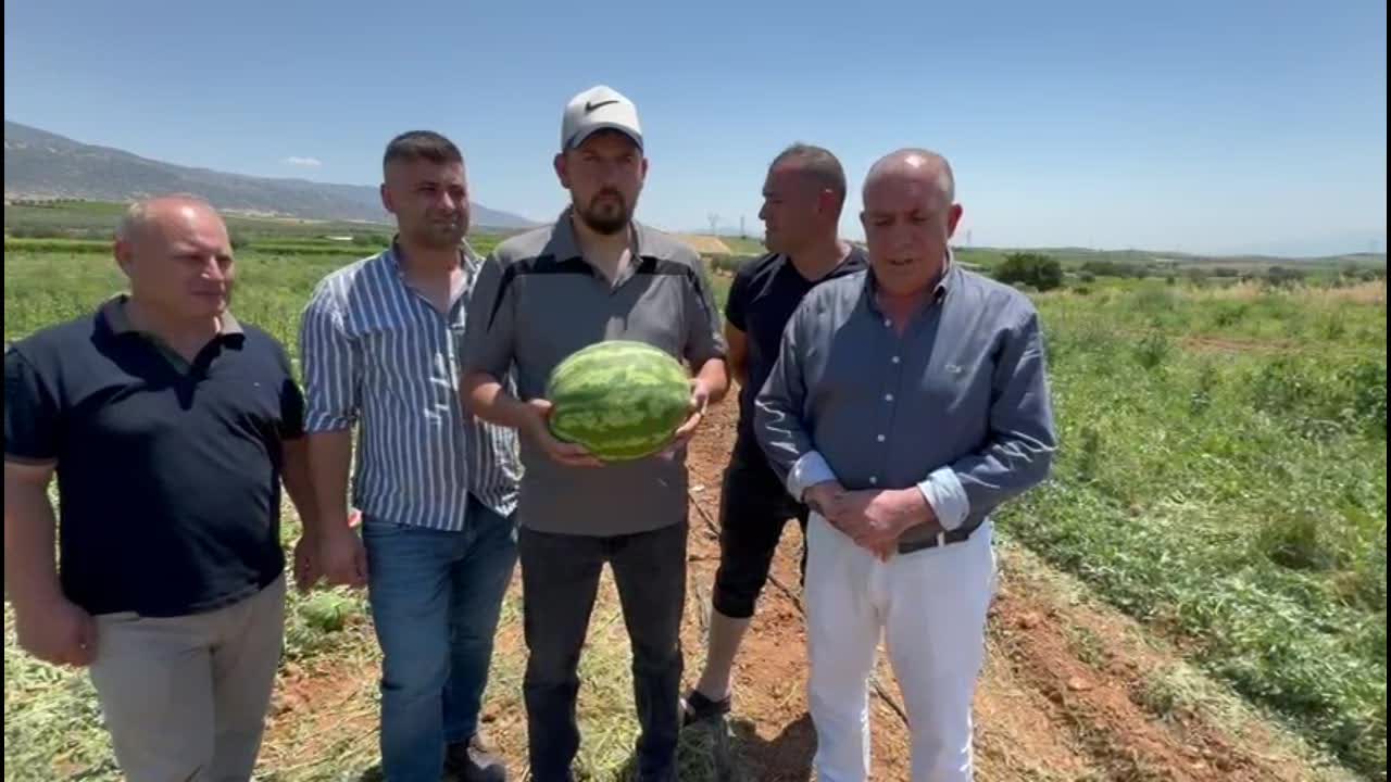 Hasat Sezonu Geldi, Fiyatı Gören Çiftçi Ektiğine Bin Pişman Oldu