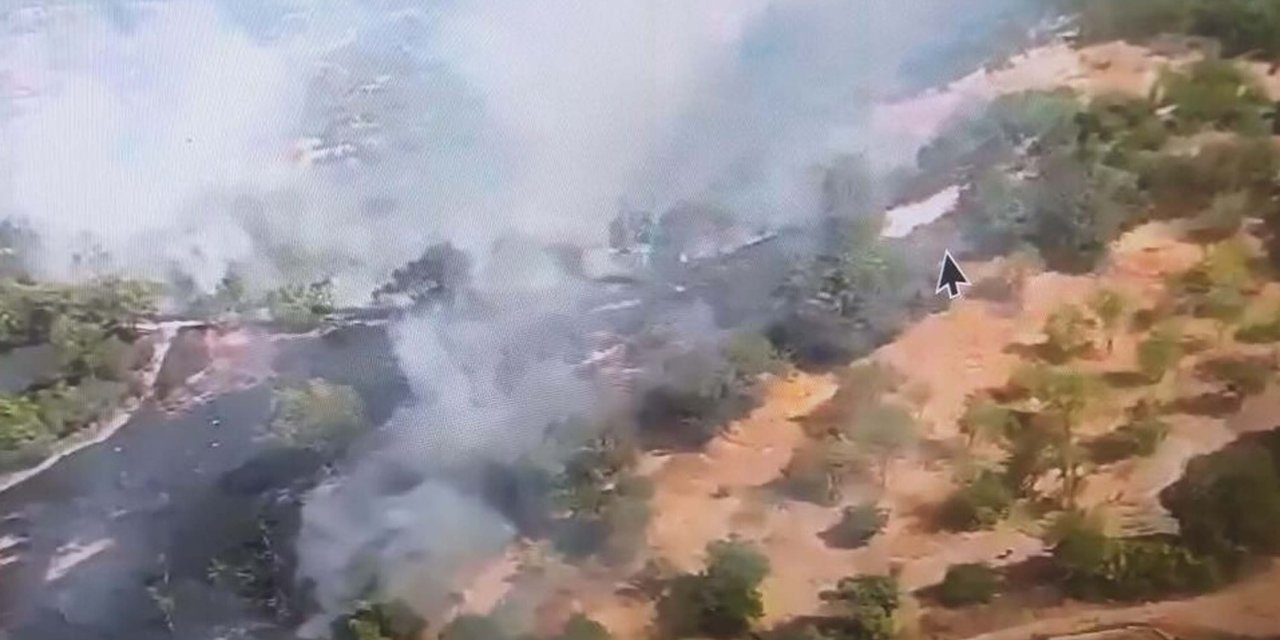Balıkesir'de Orman Yangını
