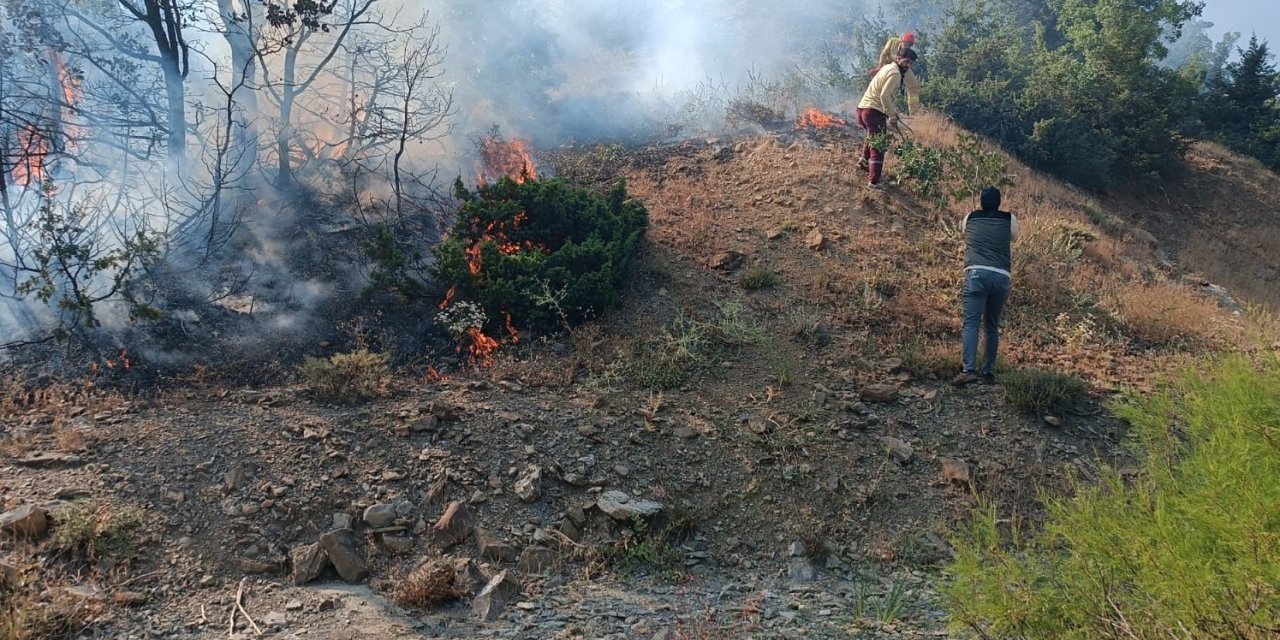 Bingöl'de Orman Yangını!