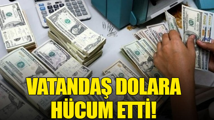 Vatandaş dolara hücum etti