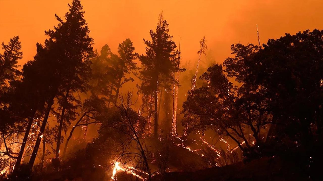 Orman Yangınları İstanbul'a Mı Sıçrıyor! AKOM'dan Acil Uyarı