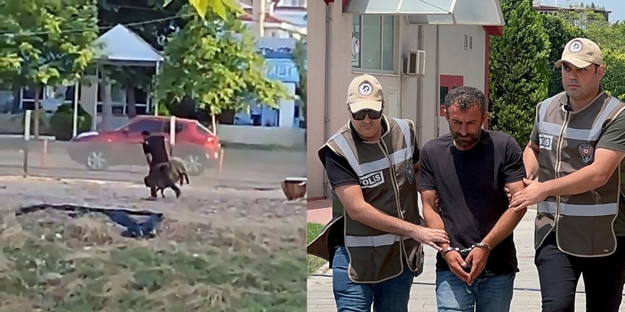 Sürüden Ayrıldığı İçin Darp Ettiği Koyun Öldü, Besici Gözaltında