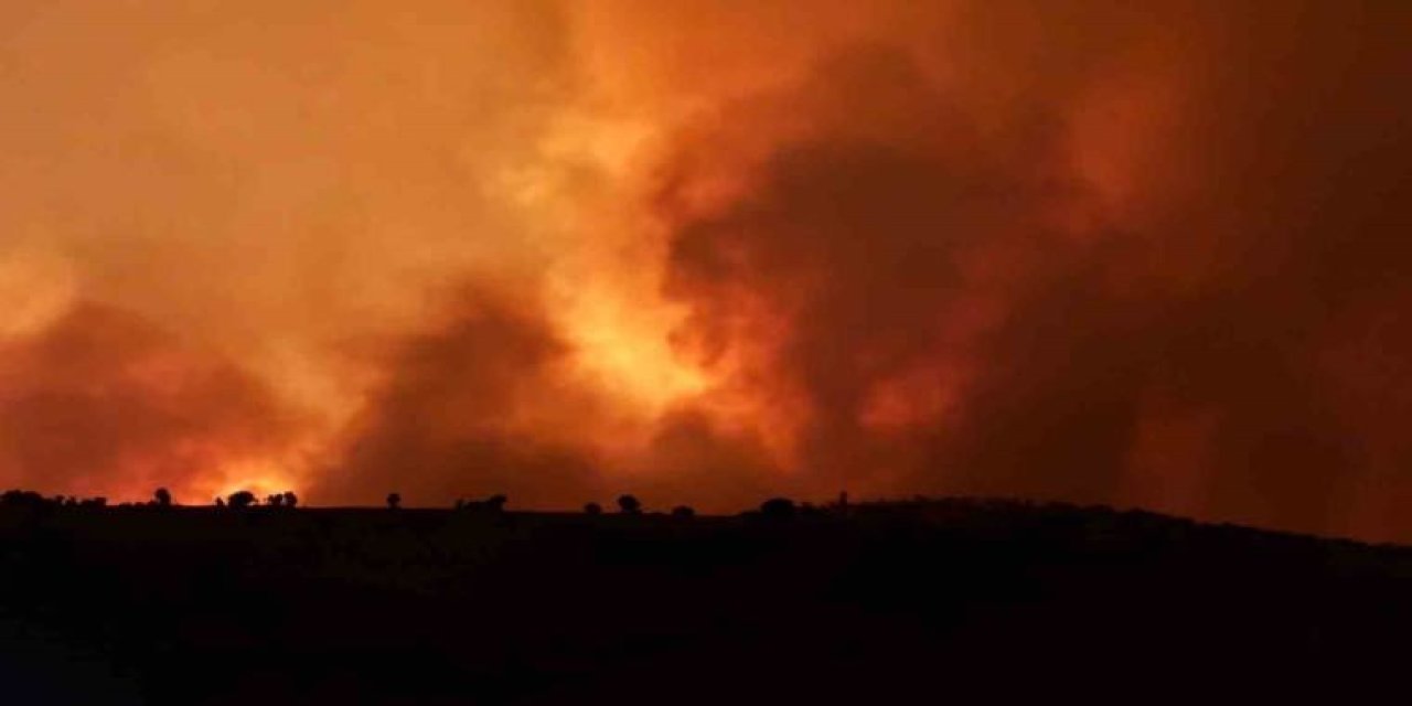 Diyarbakır'da Bir Orman Yangını Daha Çıktı!