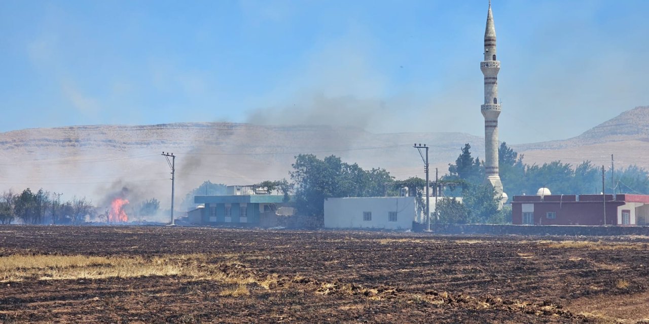 Mardin'de 5 Bölgede Birden Yangın Çıktı!
