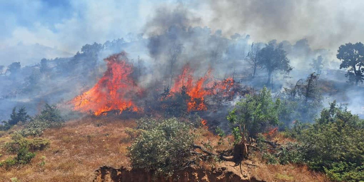 Bingöl'de 2 İlçede Birden Orman Yangını Çıktı!