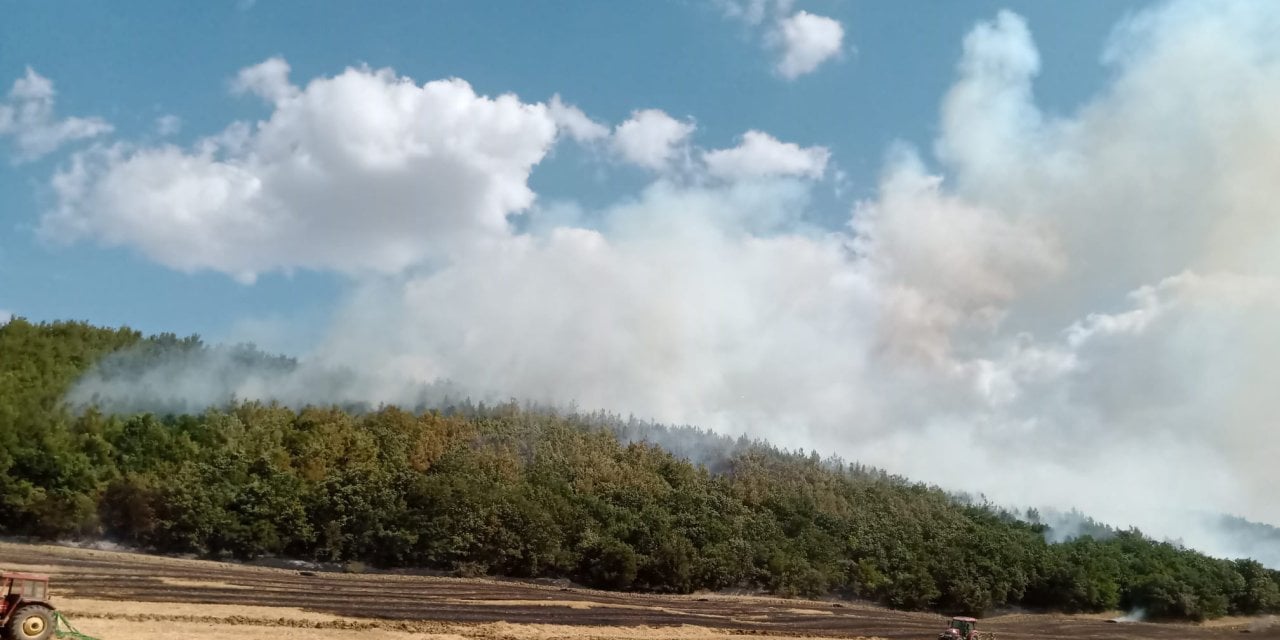 Keşan'da Orman Yangını