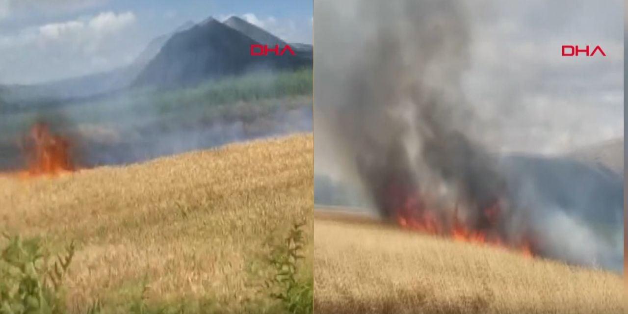 Buğday Tarlasında Panik, Nedeni Bilinmiyor! 10 Dönüm Ekili Ürün Çıtır Çıtır Yanarak Kül Oldu