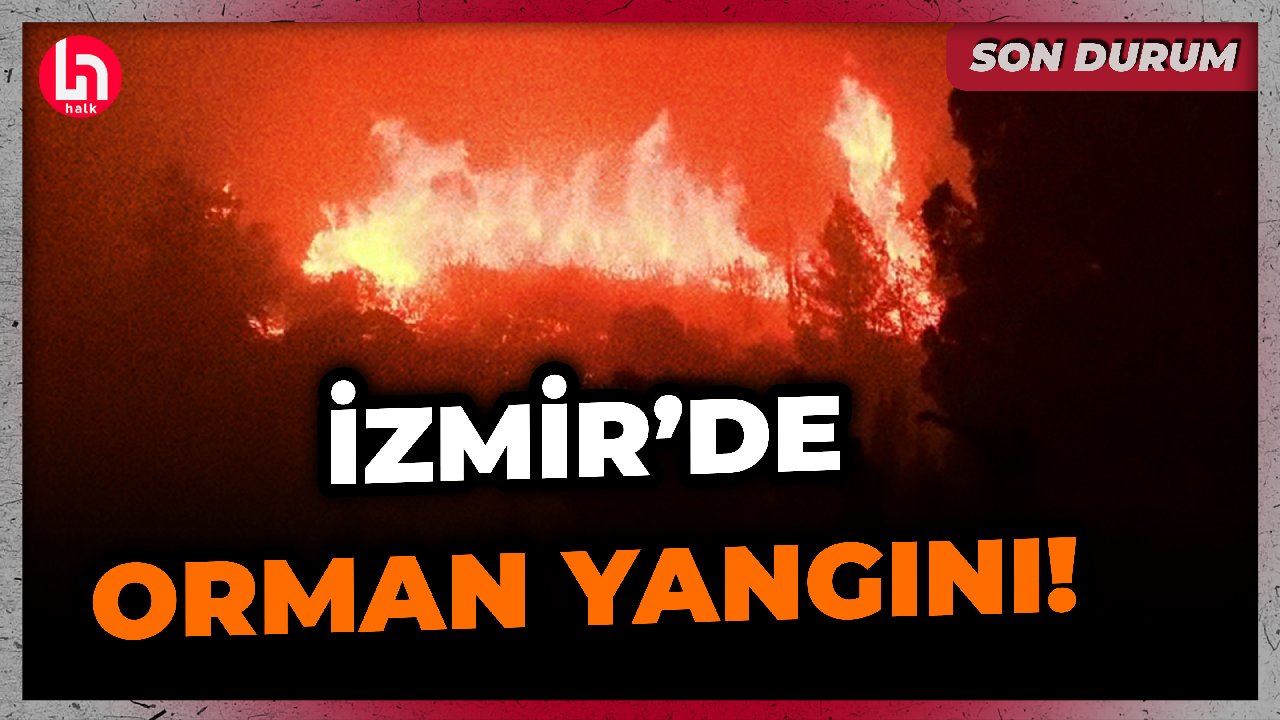 SON DAKİKA! Tarım ve Orman Bakanı Yumaklı İzmir'de yangınların son durumunu açıkladı!