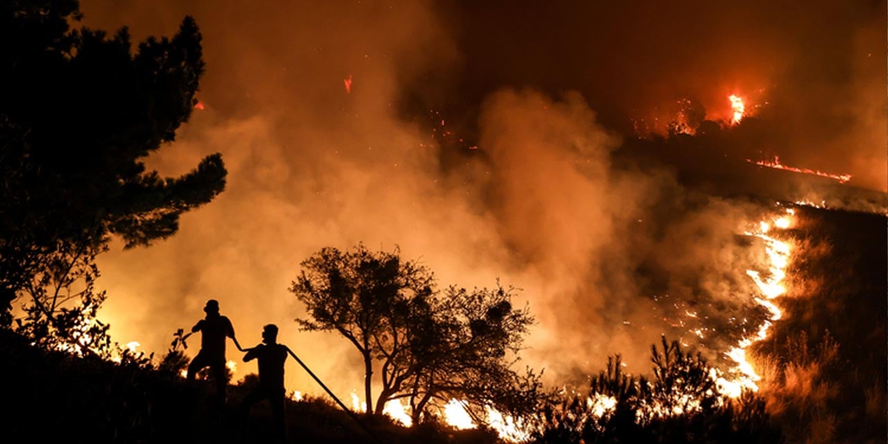 Türkiye Orman Yangınları İle Boğuşuyor!