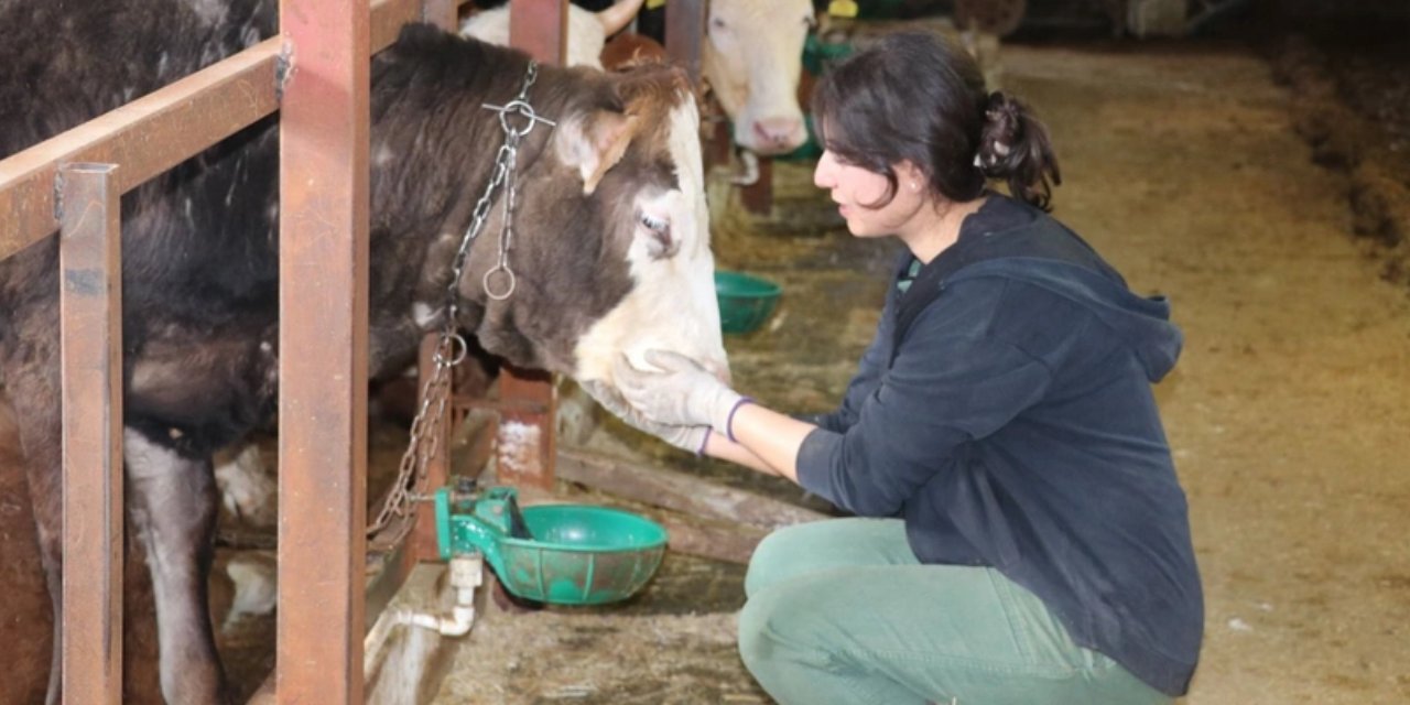 İşinden İstifa Edip Köyünde Hayvancılığa Başladı: Gerçek Mesleğini Öğrenenler Donup Kalıyor!