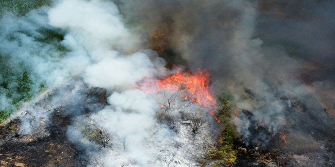 Kontrolsüz Anız Yangını Düzce'de Hasara Yol Açtı