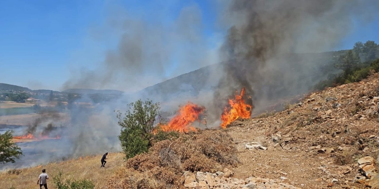 Muğla Menteşe'de Orman Yangını!