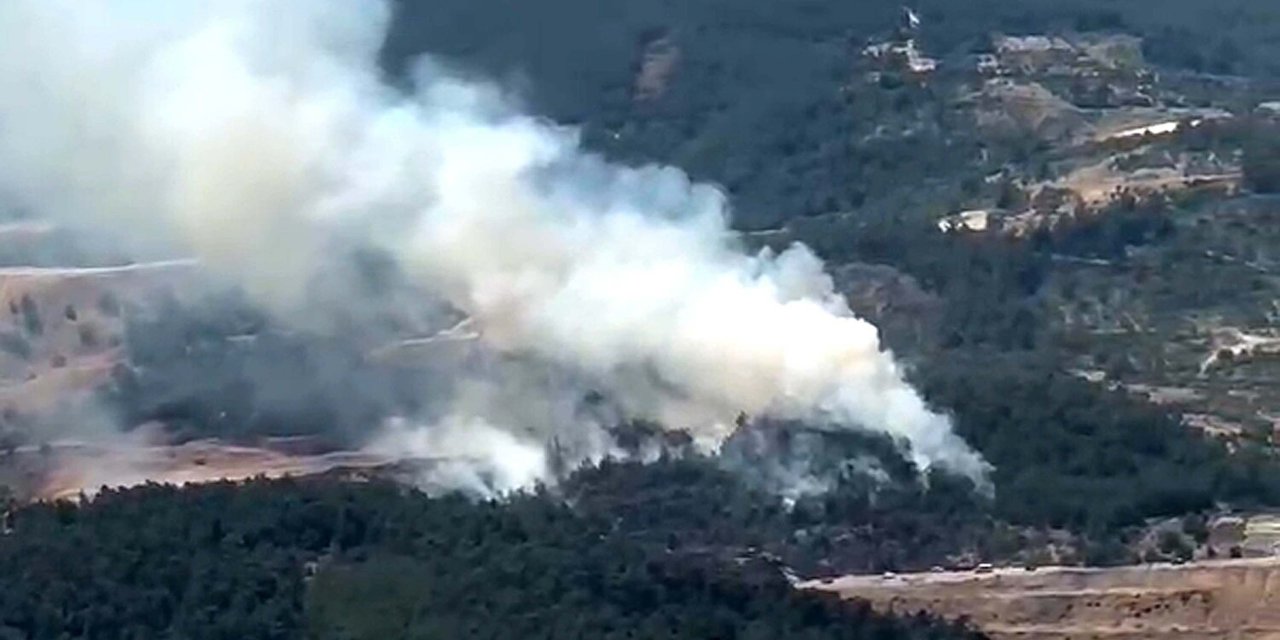 Manisa'da Orman Yangını