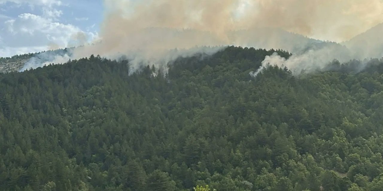 "Kastamonu'da Orman Yangını Sonlandı: 20 Hektarlık Alan Zarar Gördü!"