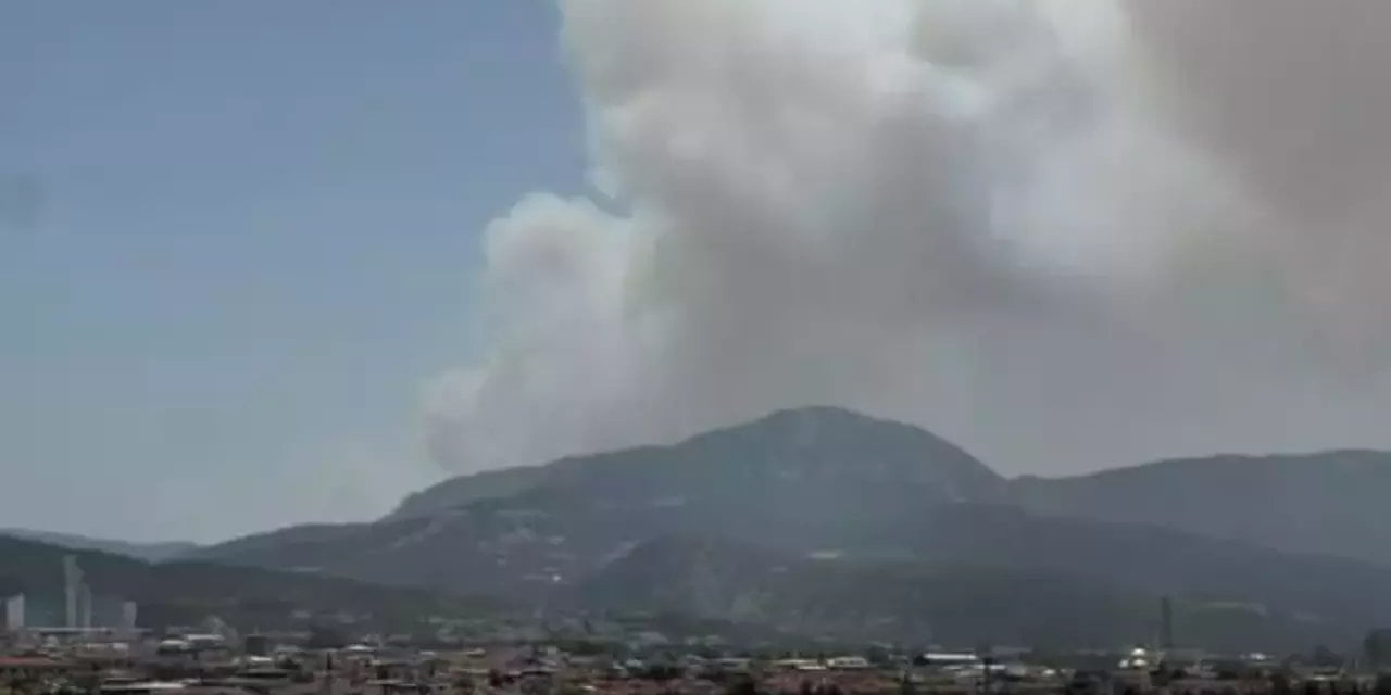 Antalya'da Orman Yangını!