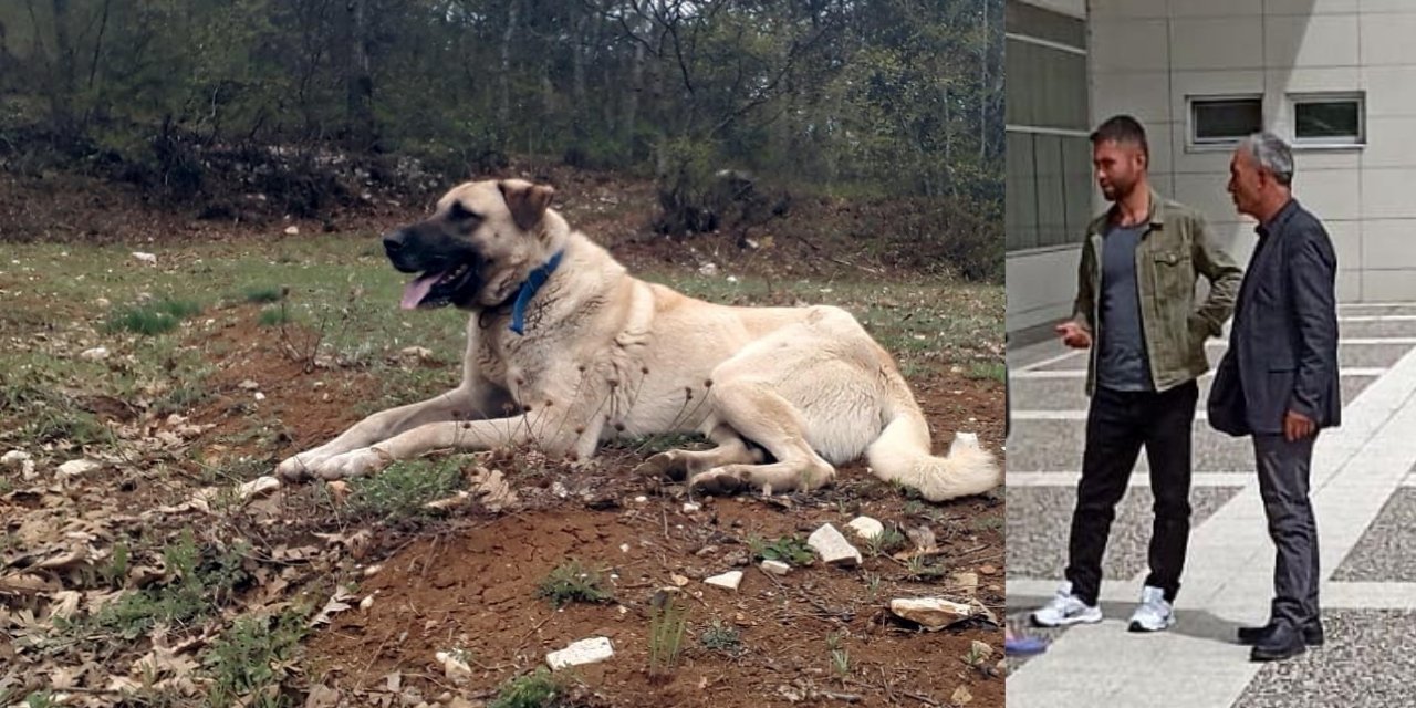 Köpeği Öldürmekten 6 Ay Sahibini Yaralamaktan 6 Yıl Ceza Aldı
