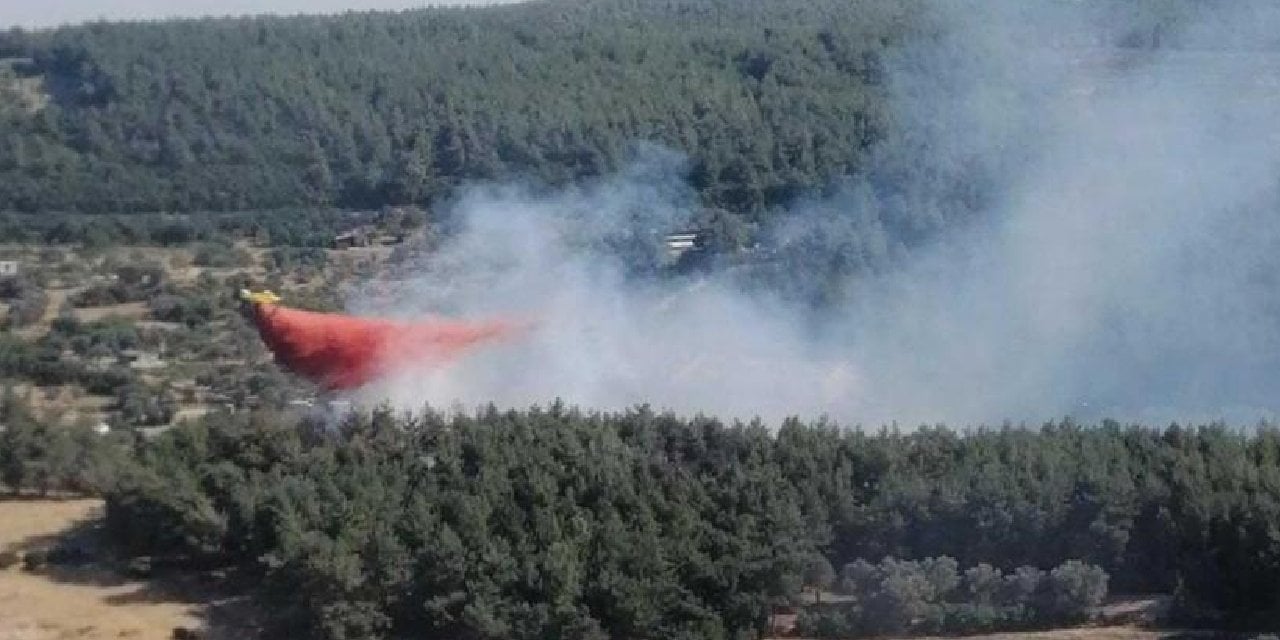 İzmir'de Orman Yangınına Müdahale Sürüyor