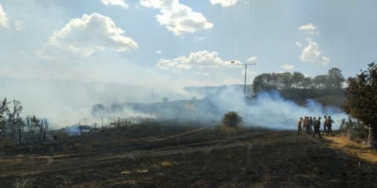 Ankara'daki Korkutan Yangın: 10 Hektar Alan Zarar Gördü