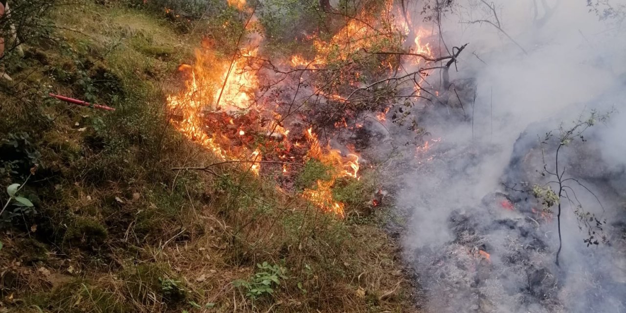 Yıldırım Düşen Ormanda Yangın Çıktı!