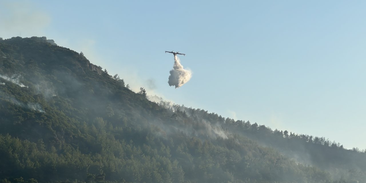 Bodrum'daki Büyük Orman Yangını Kontrol Altına Alındı!