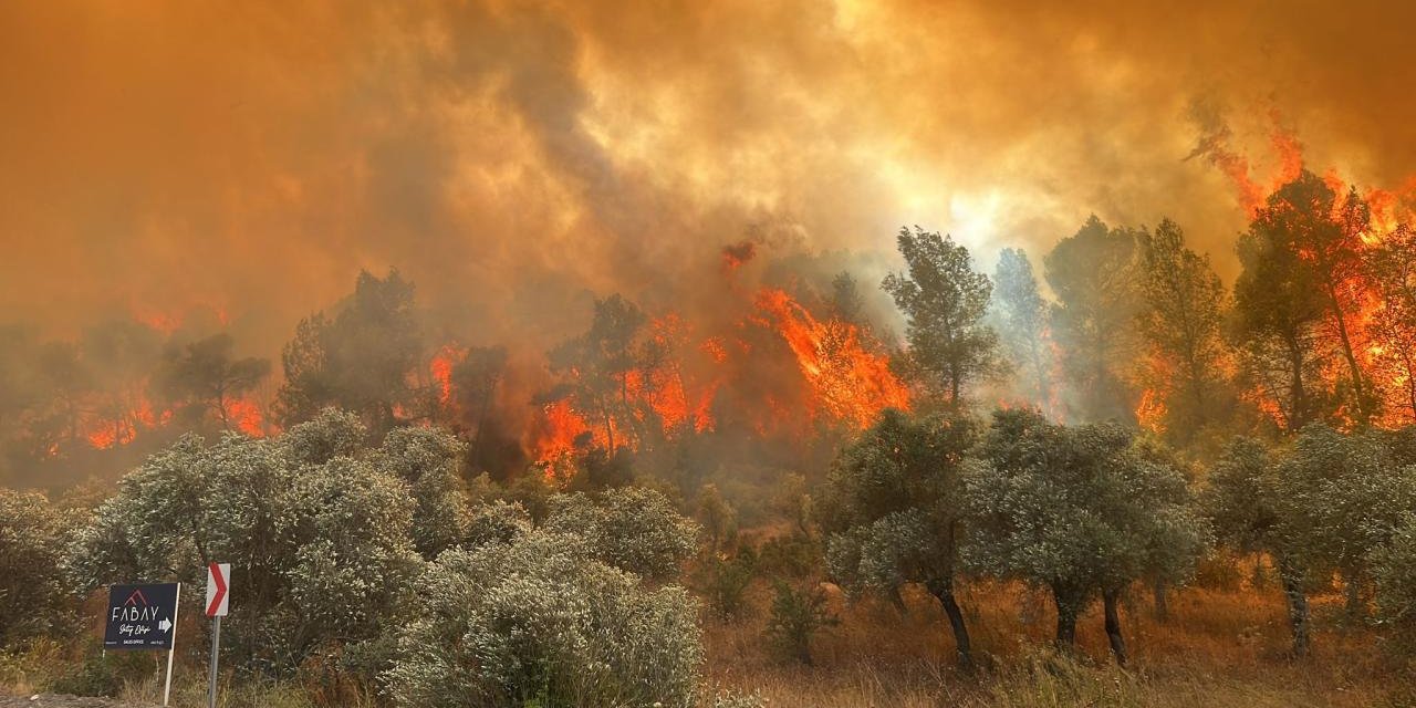 Orman Yangınlarına Çözüm Bursa'dan Geldi: Termal Radar Geliştirildi